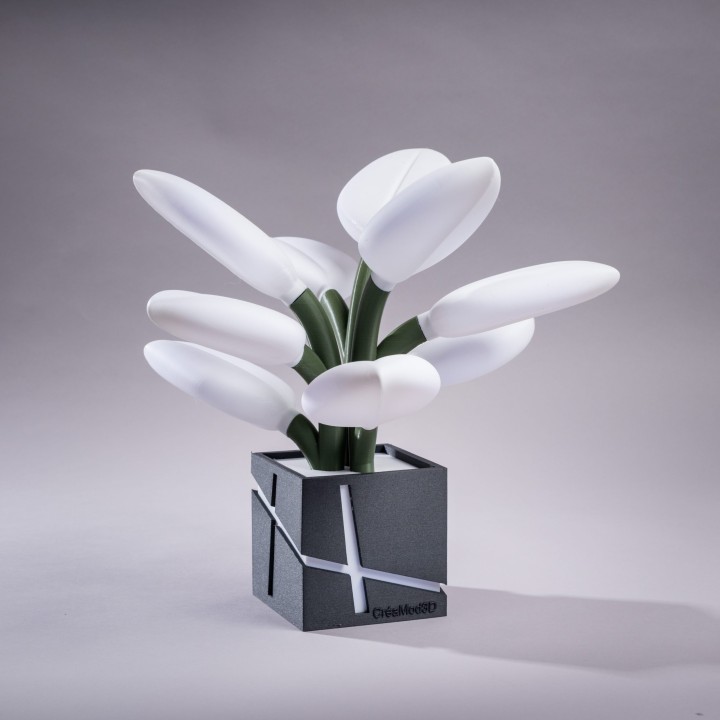 BloomLight Mini – Lampe Fleur RGB Bluetooth - Lampes - Vue 1 - Impression 3D France