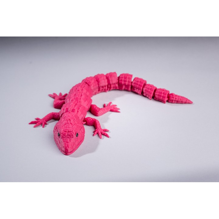 Lézard Articulé 3D – Jouet Fidget - Divers - Vue 1 - Impression 3D France