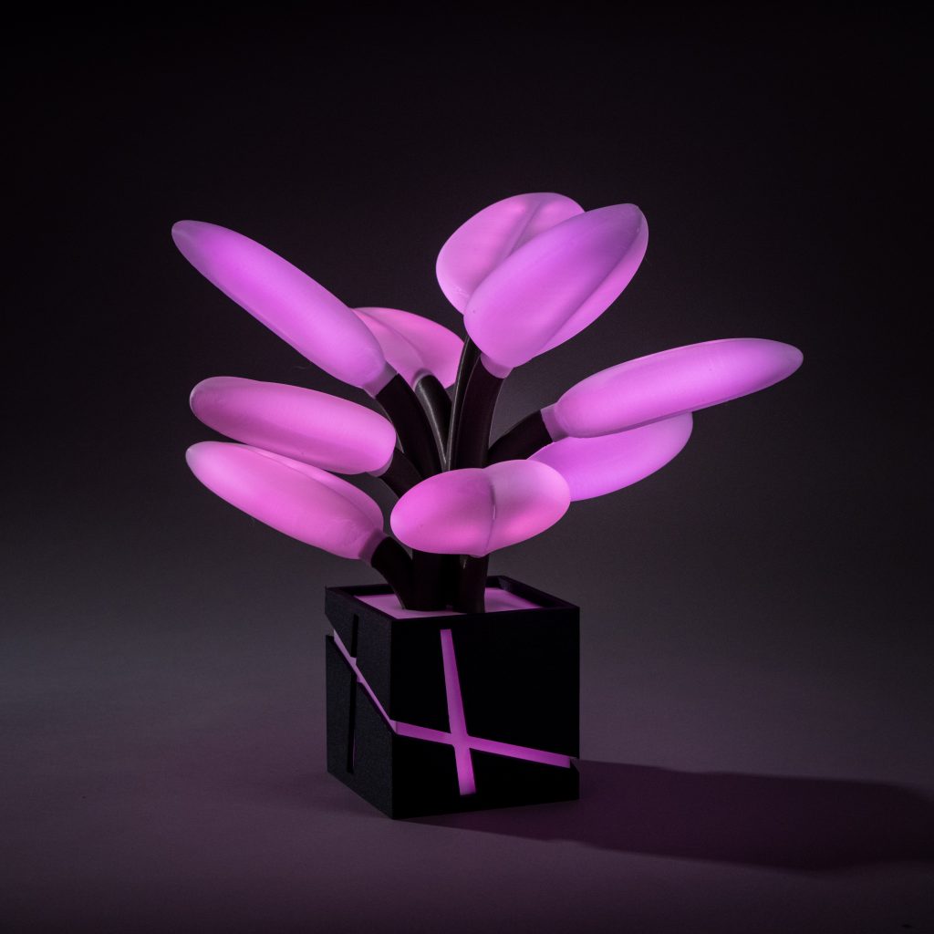 CREA_MOD_3D_Web©ClaudeClin-104